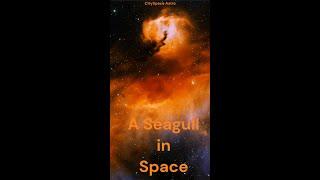 A Seagull in Space #shorts #astronomy