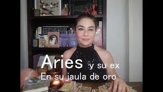 Aries y su ex En su jaula de oro