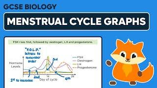 Hormone Levels During the Menstrual Cycle - GCSE Biology