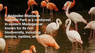 "Get Ready to Be Amazed: Top 10 Beautiful Destinations in Madagascar".
