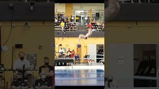 305c 1m Capobianco NCAA Diving Championships #shorts #diving #ncaachampionship