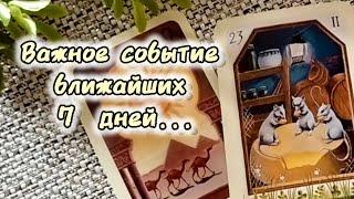 ВАЖНОЕСОБЫТИЕ БЛИЖАЙШИХ 7 ДНЕЙ!...️ Гадание Таро