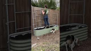 Installing a Vego Garden Trellis for my Veggies! #gardening