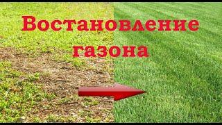 Газон своими руками.  3 этапа восстановления убитого газона.  Аэрация и скарификация газона 1 этап.