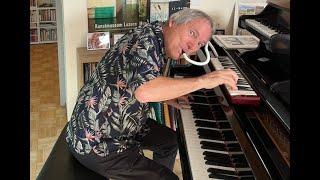Nitty Gritty Ditties – John Wolf Brennan  nonsolopiano