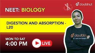 DIGESTION AND ABSORPTION | Question Series |NEET| 11 Biology | 4PM By Ankita Ma'am |L20| Doubtnut