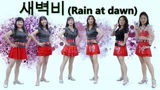 새벽비(Rain at dawn) Line Dance/Eunhee Yoon April 2025