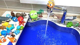 Fun Animal Toy! - Animal Water Park