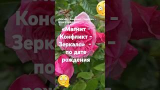 Магнит - Конфликт - Зеркало - по дате рождения  Кто тебя притягивает  Эзотерика  Нумерология Знаки