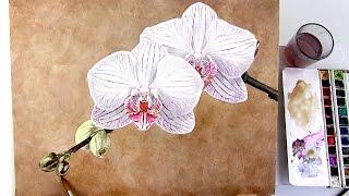 How to paint a textured background in watercolor