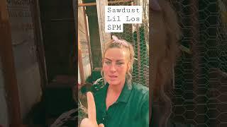 Sawdust @lil Los @dopehouserecords #sawdust #yapa #freespm #screwston #southparkmexican #rooster