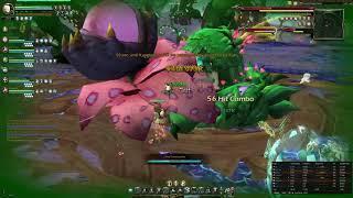 Forest Dragon Nest (Hard) - Vergil (Gladiator) POV - Project Duck Dragon Nest