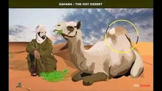 Life in the Deserts ( Sahara and Ladakh Deserts ) Geography | Class 7