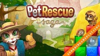 Pet Rescue Saga Android Game Gameplay [Game For Kids]