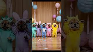 Dancing Puppies in Costumes  | Cutest Party on the Internet!
