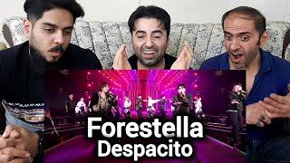 First Time Hearing Forestella - Despacito | Reaction