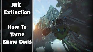 Ark | Extinction - How to Tame Snow Owls & Why You Need Them in Your Life