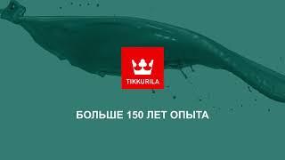 Tikkurila Drytech Biorid покрытие для защиты от плесени