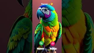#ringtone #smartphone #ringtones