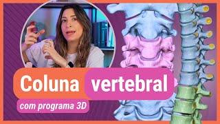 COLUNA VERTEBRAL! Com programa 3D