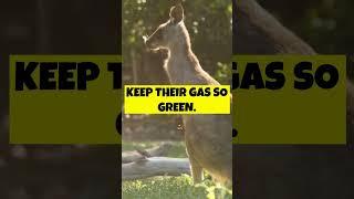 "Mystery Unleashed: Animal Wonders!" #facts #future #openai #chatgpt