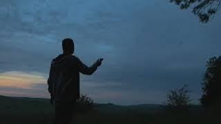 Finding Bats in the Twilight