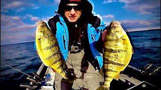 Perch Fishing Lures On Lake Simcoe & Jay Siemens Catch and Cook (7 x Dip Jumbo Perch)