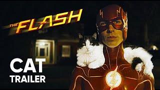 The Flash - Cat Trailer | Meowdrama: Inspired by Owlkitty