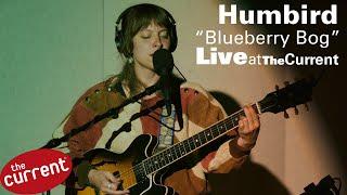 Humbird performing "Blueberry Bog" in The Current studio for Radio Heartland