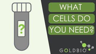 How to Choose the Right Competent Cells for your Experiment
