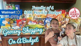 GROCERY SHOPPING ON A BUDGET IN 2024 | FAMILY OF 4 | $100 BUDGET FOR THE WEEK