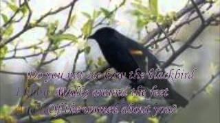 "Thirteen Ways of Looking at a Blackbird" by Wallace Stevens (read by Tom O'Bedlam)