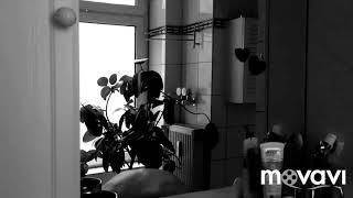 The wineholics || Jakub and Vitalii – Перекрёстки 