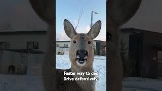 Faster way to die!