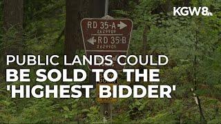 Lawmakers consider selling federal land across 11 states, including Mount Hood and Crater Lake