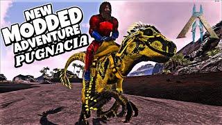 ARK Survival Evolved PUGNACIA Live