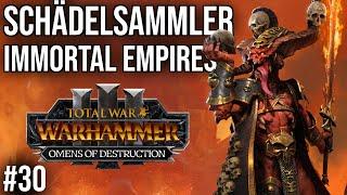 SCHÄDELSAMMLER in Immortal Empires #30 | Let's Play Total War: Warhammer 3 OMENS OF DESTRUCTION