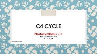 C4 (Hatch and Slack) pathway in Plants -11