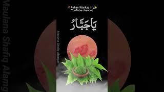 Wazifa For fungal infaction#ruhanimarkaz313/Bye Maulana Shafiq Alamgiri