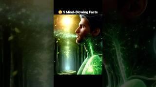 Kya aapko pata tha ek tree 10 logon ka oxygen produce karta hai?