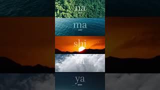 Aum Namah Shivaya - The Mahamantra
