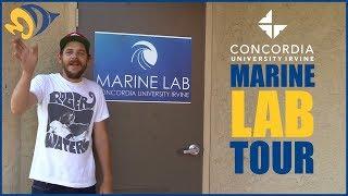 Marine Lab Tour at Concordia University Irvine: 2000 Gallons with 50 Local Species!