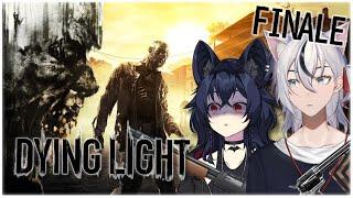 THE FINAL PARKOUR!! We're Going For The BEEF!  [BatCat Streams - Dying Light]