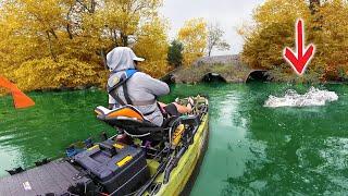 4 MONTHS of Fishing Led to This WILD Kayak Tournament