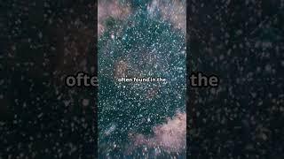 Exploring Star Clusters #facts #universefacts #knowvids  #astronomyfacts