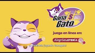 ¿Ya conoces cómo jugar en Gana Gato?