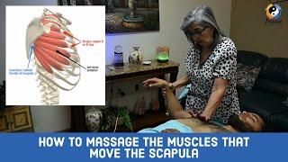 How to massage the muscles that move the scapula: Part 1