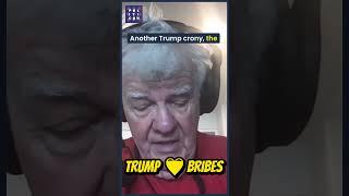 Trump ️ Bribes