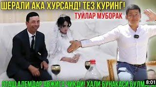 КЕЛИН ТУЙ! АНА ХОЛОС ШЕР АКАМИЗ ЧАТОК ЧИКДИ! ГОРКА,ГОРКА,ГОРКА...