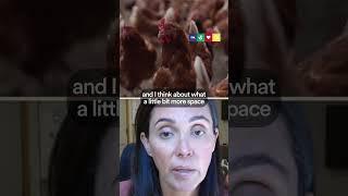 Animal Welfare or Animal Liberation?
